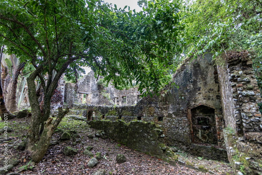 Ruins of La Pagerie plantation - Les Trois-Ilets, Martinique French Antilles