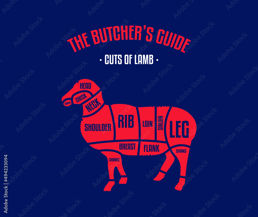 Obraz premium Meat and Beef cuts. Diagrams for butcher shop. Scheme of beef. Vector illustration. Beef butcher's guide. Used for cooking steak and roast - t-bone, rib eye, porterhouse, tomahawk, etc.