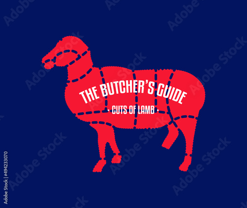 Meat and Beef cuts. Diagrams for butcher shop. Scheme of beef. Vector illustration. Beef butcher's guide. Used for cooking steak and roast - t-bone, rib eye, porterhouse, tomahawk, etc.