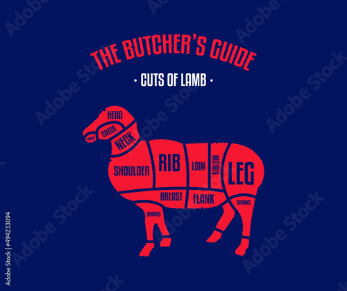 Meat and Beef cuts. Diagrams for butcher shop. Scheme of beef. Vector illustration. Beef butcher's guide. Used for cooking steak and roast - t-bone, rib eye, porterhouse, tomahawk, etc.