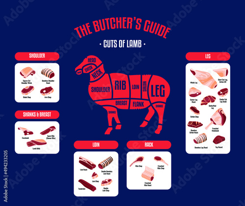 Meat and Beef cuts. Diagrams for butcher shop. Scheme of beef. Vector illustration. Beef butcher's guide. Used for cooking steak and roast - t-bone, rib eye, porterhouse, tomahawk, etc.