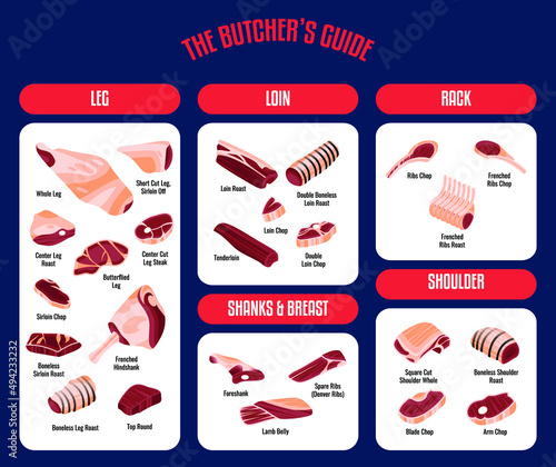 Meat and Beef cuts. Diagrams for butcher shop. Scheme of beef. Vector illustration. Beef butcher's guide. Used for cooking steak and roast - t-bone, rib eye, porterhouse, tomahawk, etc.