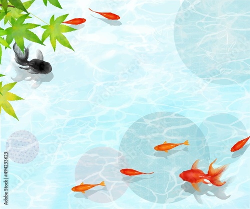 紅葉の木下、水の中を黒と赤の金魚とメダカが優雅に泳ぐ水の波紋が美しいデザインのベクター夏フレーム素材
