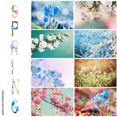 collage with spring pictures with flowers