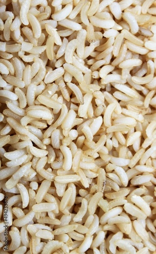 white cooked rice grains closeup