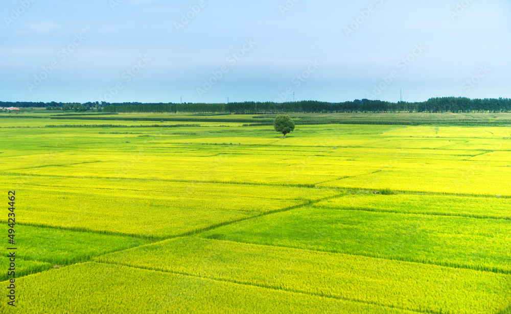 High angle view of farmland in China