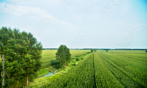 High angle view of wheat field and countryside scenery