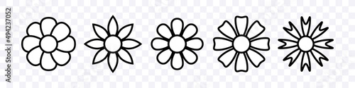 Flowers set. Flowers icons. Vector clipart isolated on transparent background.