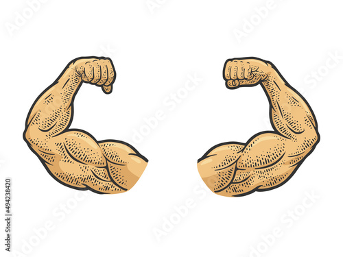 Muscular hands arms of strong man bodybuilder color sketch engraving vector illustration. T-shirt apparel print design. Scratch board imitation. Black and white hand drawn image.