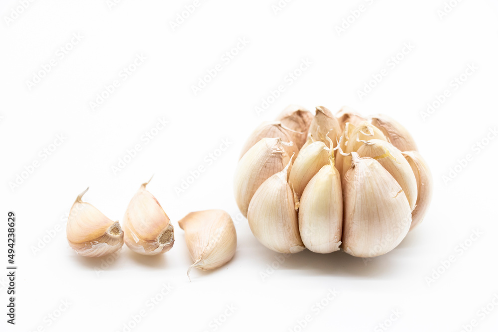 Garlic collection Isolated on white background Clipping Path Garlic collection Isolated on white background Clipping Path