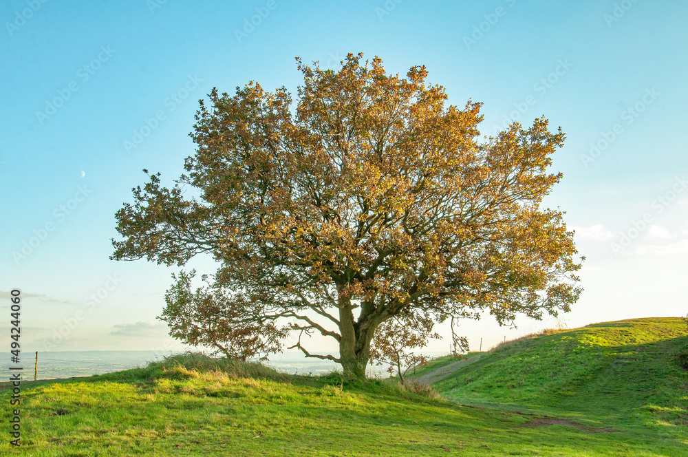Autumn colours in the Malvern hills of England. Autumn colours in the Malvern hills of England.