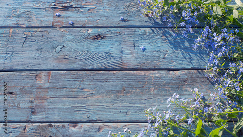 blue flowers on old wooden background