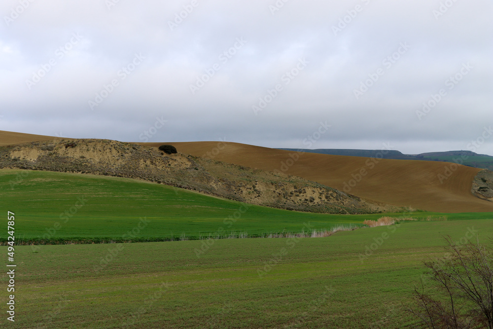 Hill - landscape with green and yellow hills