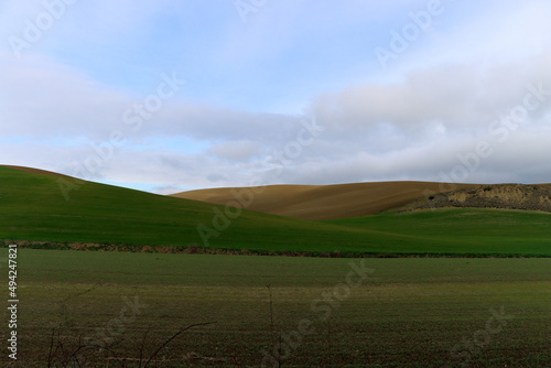 Hill - landscape with green and yellow hills