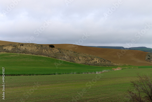 Hill - landscape with green and yellow hills