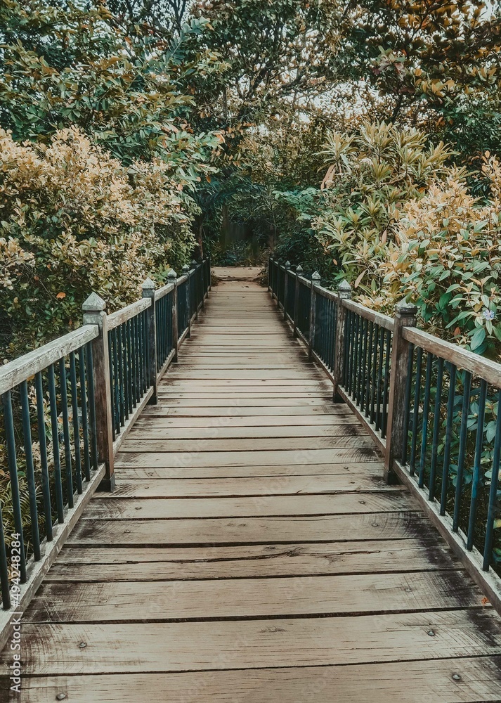 Wooden bridge in Baddegana wetland park Wooden bridge in Baddegana wetland park