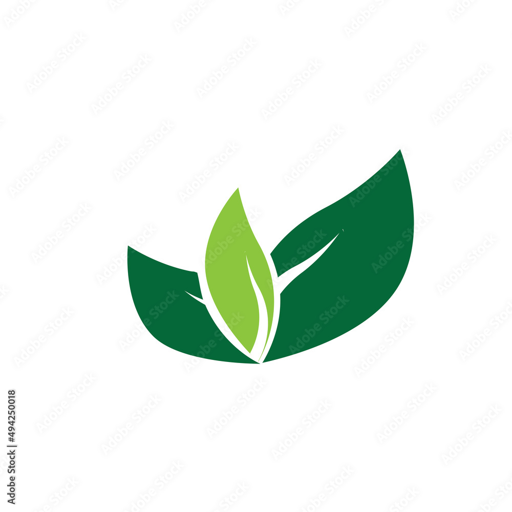 leaf logo vector template ilustration and icon design leaf logo vector template ilustration and icon design