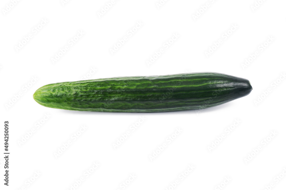 green whole cucumber isolated on a white background green whole cucumber isolated on a white background