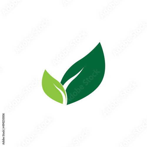 leaf logo vector template ilustration and icon design © Joni
