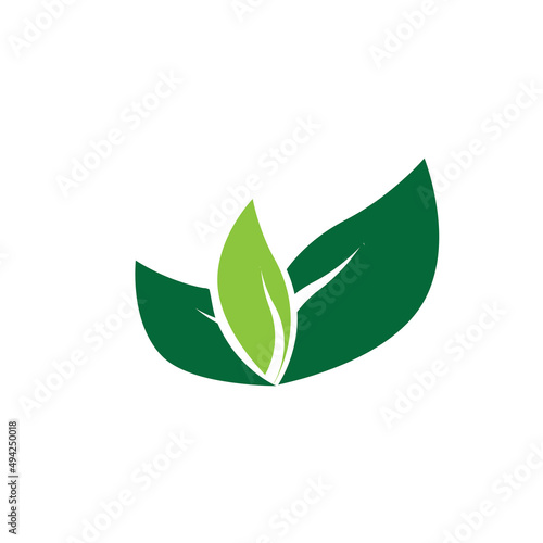 leaf logo vector template ilustration and icon design © Joni