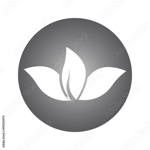 leaf logo vector template ilustration and icon design