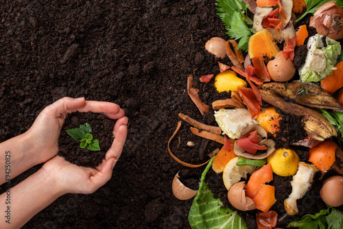 Hands holding and caring a green young plant, Organic waste and black soil with a copy space