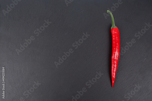 red hot chili pepper on a gray textured background