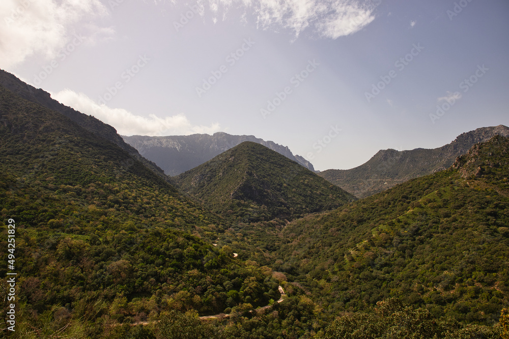 Obraz premium view of some mountains in summer