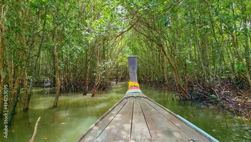 Long tail boat through on a river with Mangroves growing in shallow lagoon, tropical landscape of mangrove forest from bay of  Krabi, Thailand.