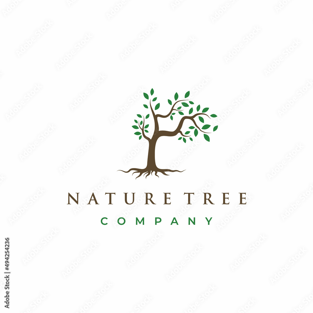Fototapeta premium Tree and roots logo design vector isolated, abstract tree logo design illustration
