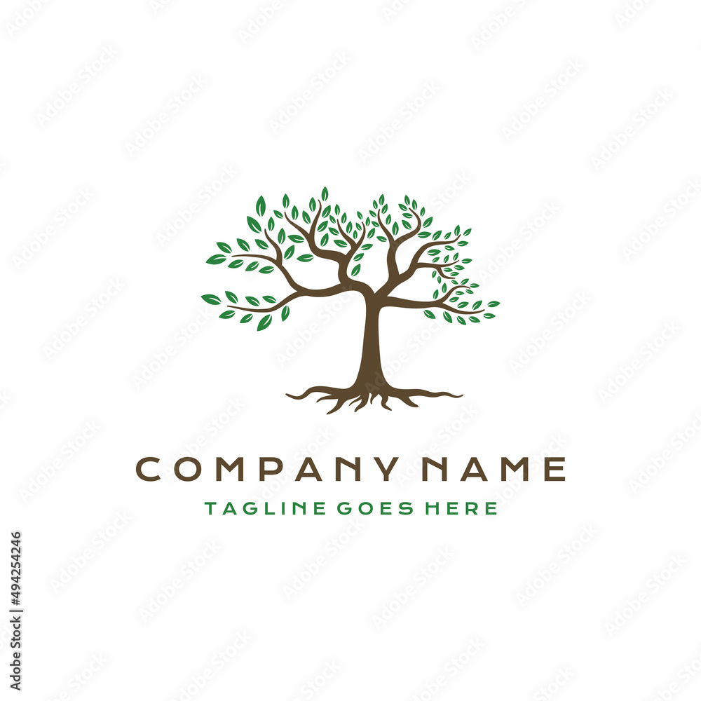 Fototapeta premium Tree and roots logo design vector isolated, abstract tree logo design illustration