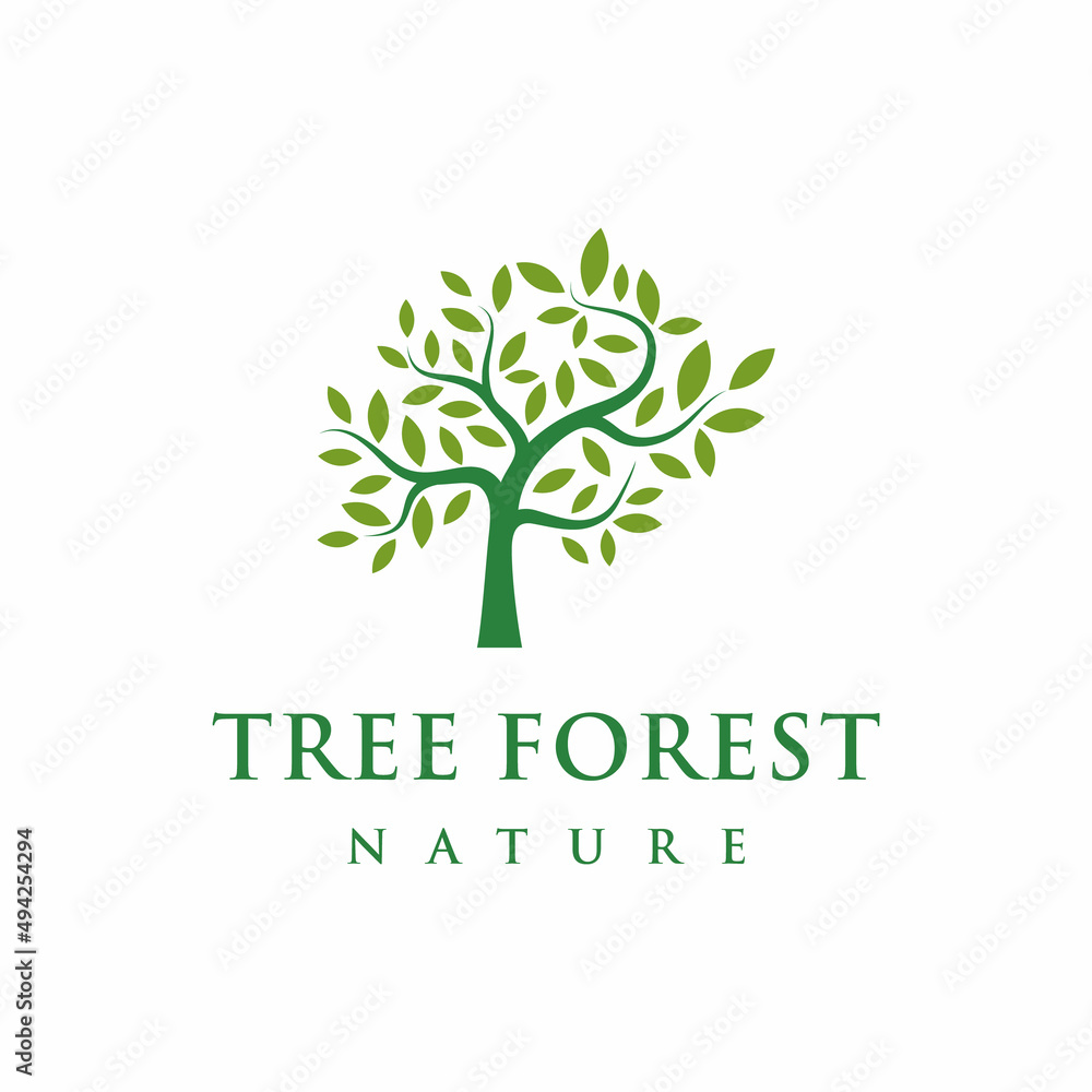 Obraz premium Tree logo design vector isolated, abstract tree logo design illustration