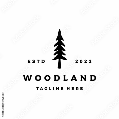 Evergreen Pine fir hemlock spruce conifer cedar tree logo design vector illustration