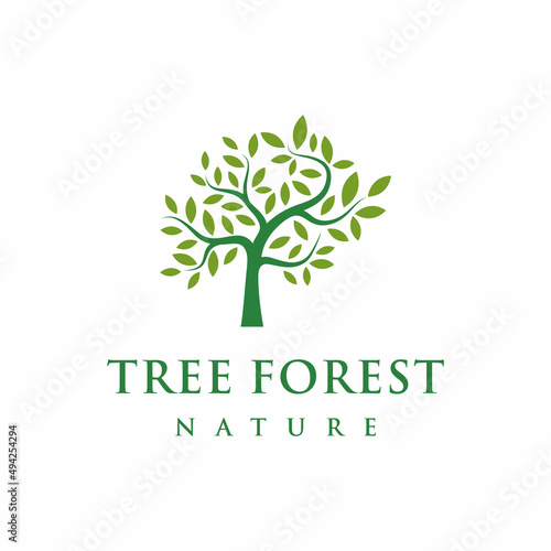 Tree logo design vector isolated  abstract tree logo design illustration