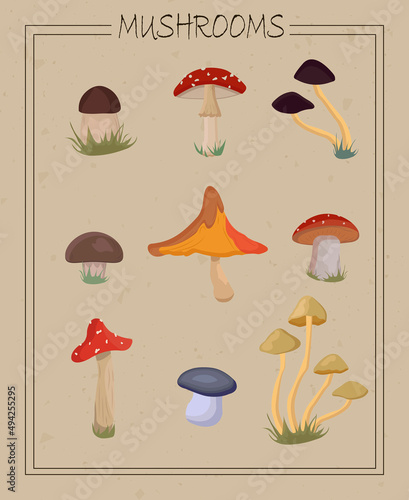 Mushrooms vintage autumn illustration. Cartoon vintage style. Card with mushrooms 