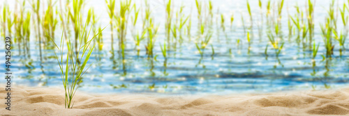 sunshine on beautiful empty sand beach lakeside on a summer day, blurred water background with grasses and sunlight, recreation in nature concept with copy space photo