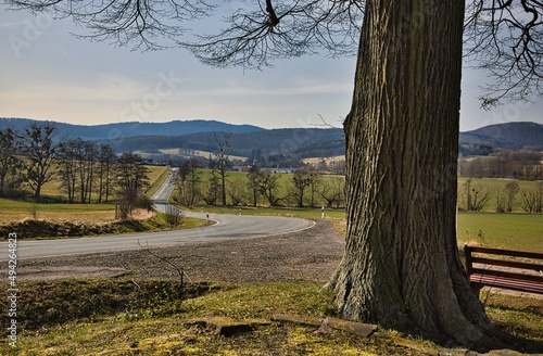 An den Friedensbäumen bei Fischbach und Winterstein. photo