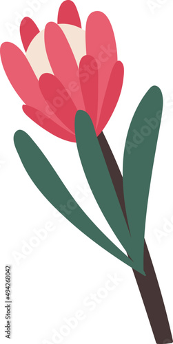 Gorgeous Flower Cartoon Illustration