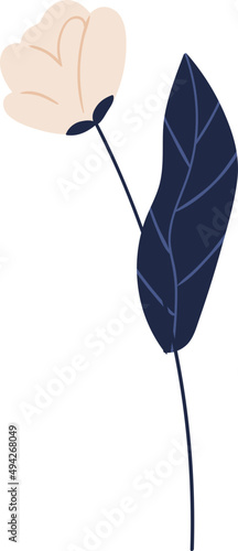 Delicate Flower Cartoon Illustration