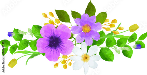 Flowers Illustrations Design