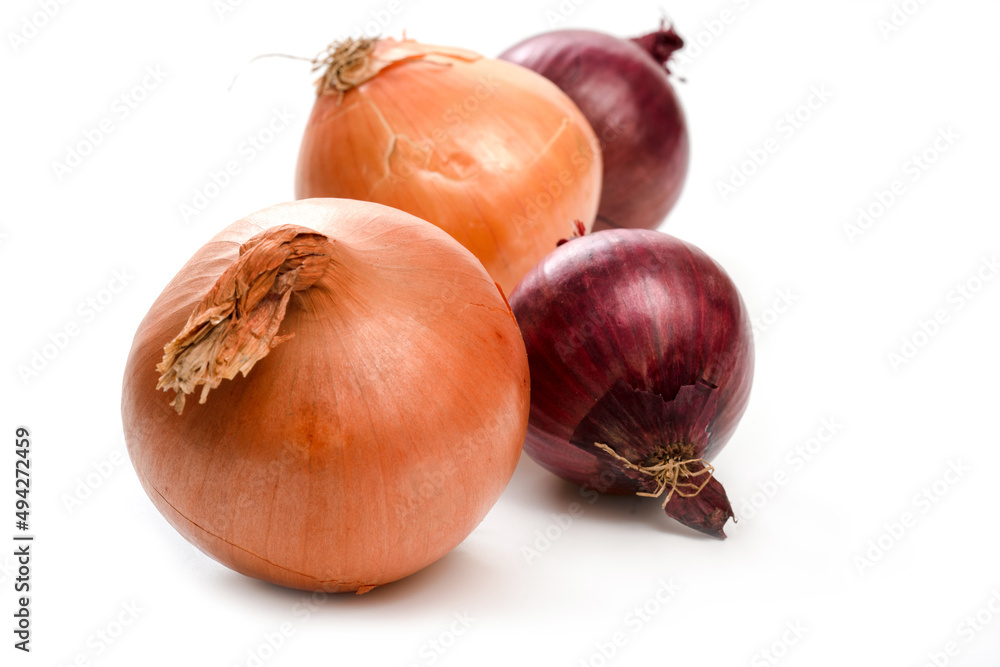 Red and white onion on white background Red and white onion on white background