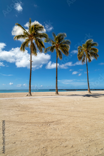 Fototapeta Naklejka Na Ścianę i Meble -  Three Palms on a Atoll Beach.