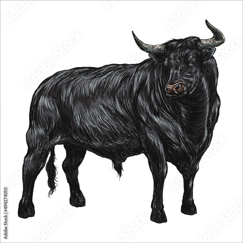 Bull vintage hand-drawn sketch vector illustration  