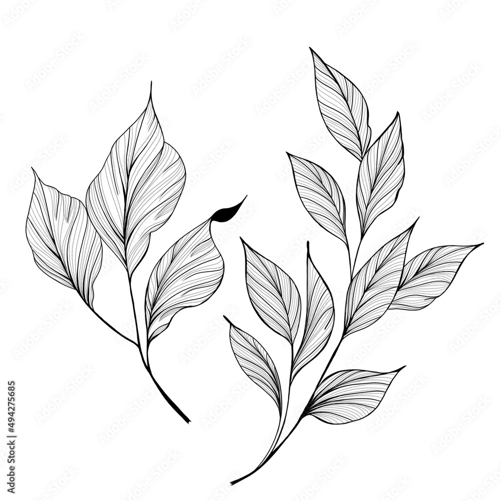 botany tattoo sketch - beautiful twig plant. Botanical element template for graphic design, wedding decor, textiles, souvenir gift, stationery print Иллюстрация Stock