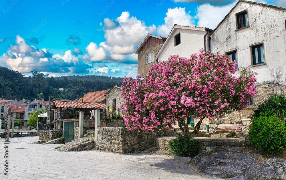 Arquitectura y árbol en flor en la villa gallega de Combarros, España