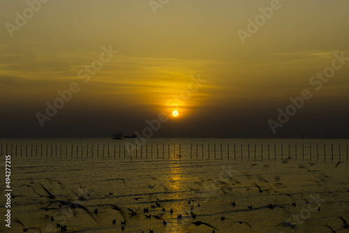 Sunset in the evening with beautiful landscape, mix with some Seagulls flying around.