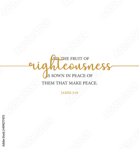 And the fruit of righteousness is sown in peace of them that make peace, James 3:18 KJV, peace bible verse, Christian card, scripture poster, Home wall decor, Christian banner, Baptism gift photo