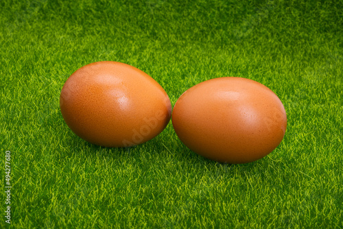chicken eggs on green grass