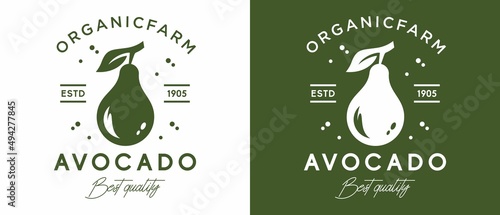 vintage avocado fruit vector illustration