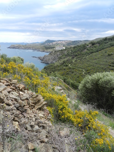 paysage maritime